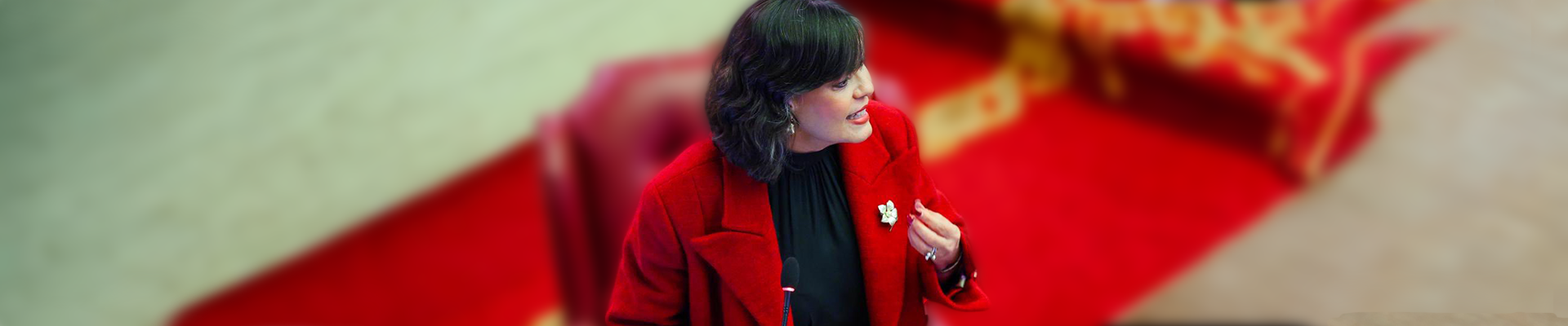 http://mariadelourdes.net/wp-content/uploads/2026/02/SenadoRojo.png